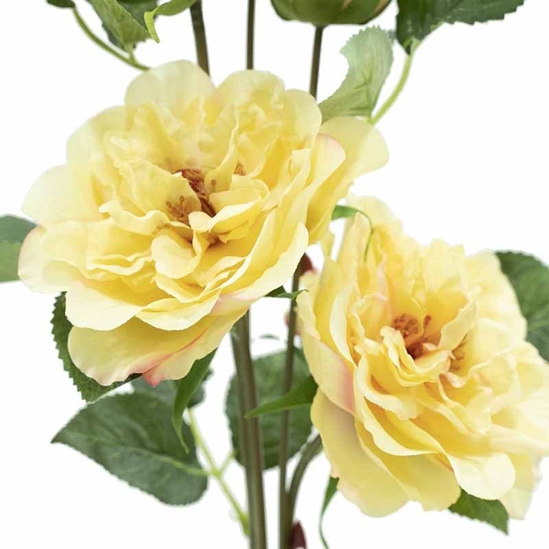 Ramo con 5 Camelie H.89 cm