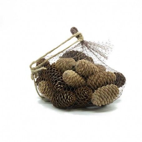 Pigne di Abete 8 cm Confezione da 24 Pezzi