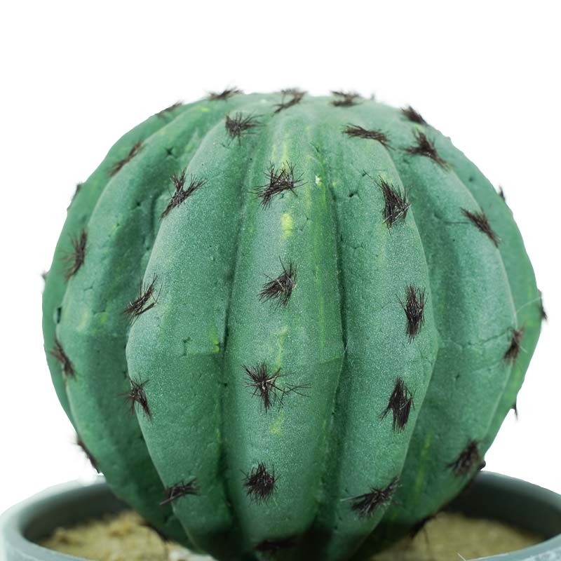 Piantina Grassa Artificiale con Vasetto H.20 cm