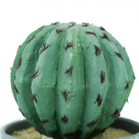 Piantina Grassa Artificiale con Vasetto H.20 cm Piantina Grassa Artificiale con Vasetto H.20 cm