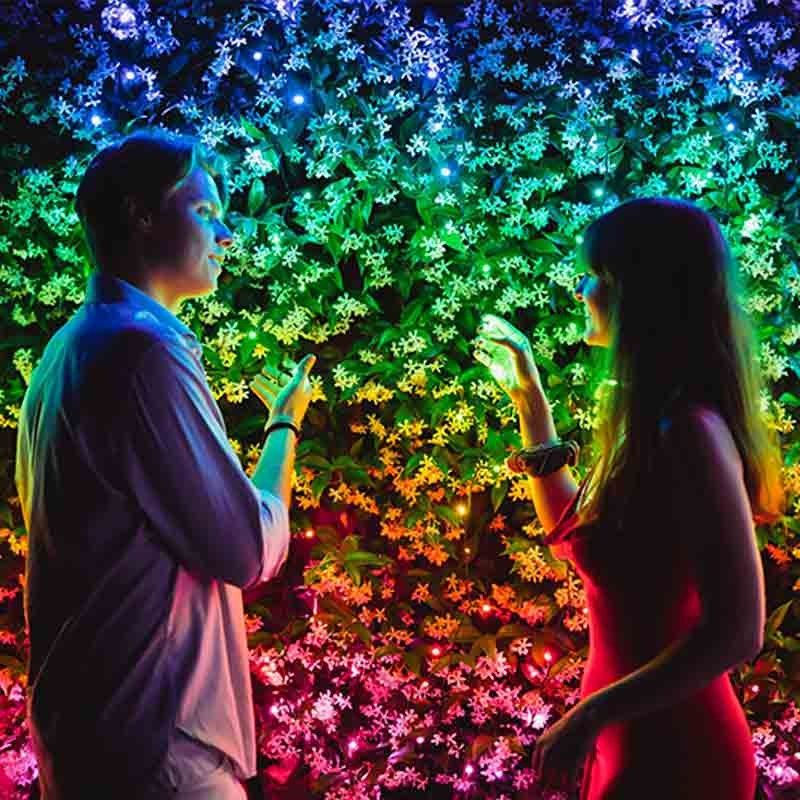 Stringa 100 Luci Led Multicolore RGB Twinkly | Luci di Natale Regolabili da Smartphone | Cavo Nero