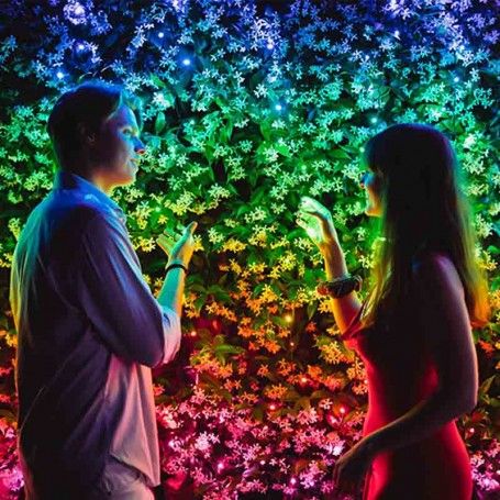 Stringa 100 Luci Led Multicolore RGB Twinkly | Luci di Natale Regolabili da Smartphone | Cavo Nero