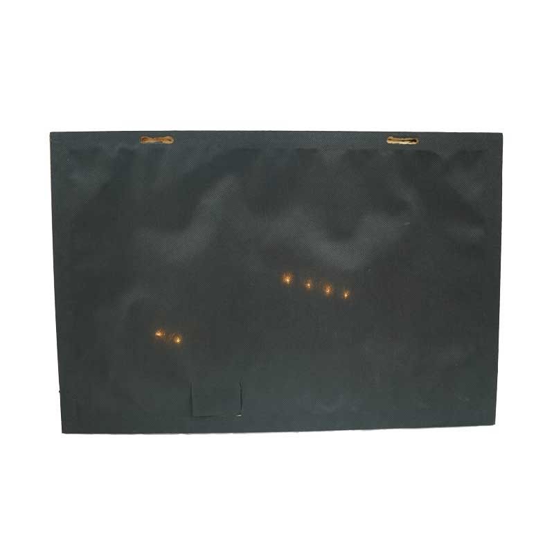 Quadro Natalizio Luminoso con 6 Luci Led e 25 Fibre Ottiche