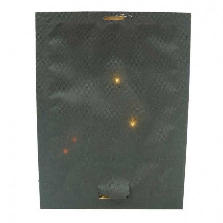 Quadro Luminoso con Pattini e Slittino 4 Luci Led