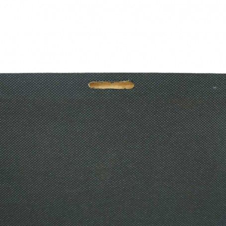 Quadro Natalizio Luminoso con 1 Luce Led e 40 Fibre Ottiche