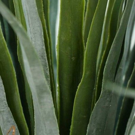 Pianta Sisal Artificiale H.140 cm