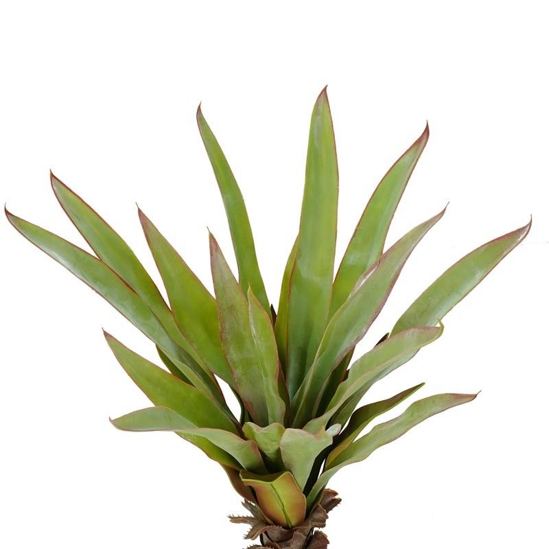 Pianta Sisal Artificiale H.100 cm