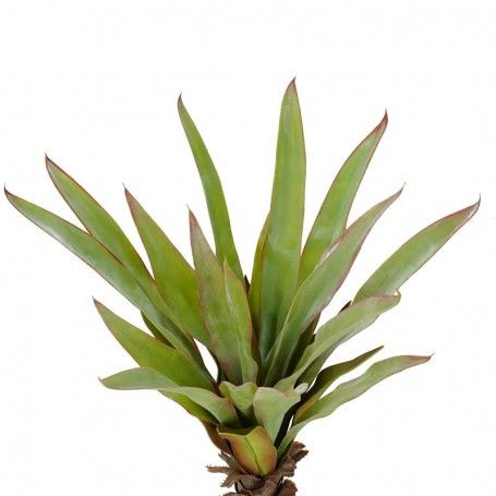 Pianta Sisal Artificiale H.100 cm