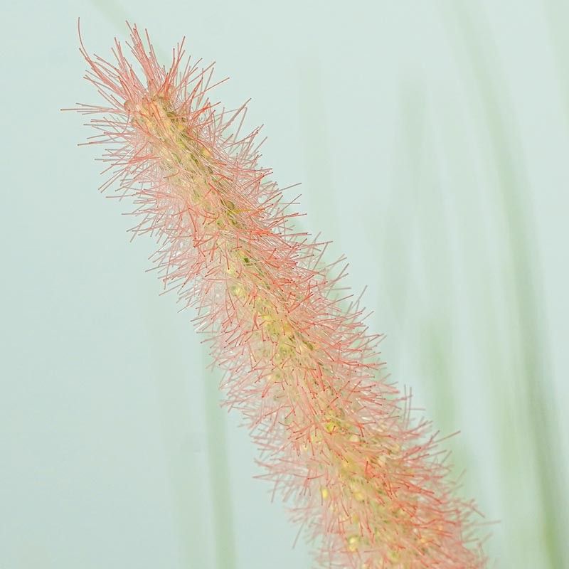 Pianta Pampas Artificiale H.120 cm