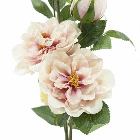 Ramo con 5 Camelie H.89 cm