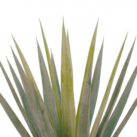 Pianta Agave Sisalana Artificiale con Vaso Nero H.76,5 cm