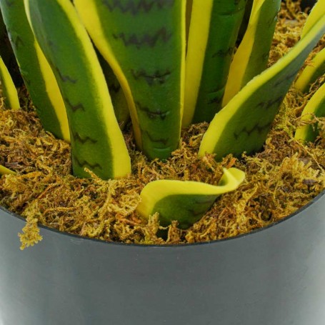 Pianta Sansevieria Artificiale