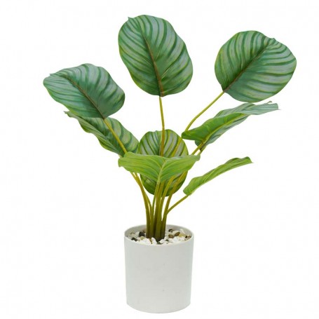 Pianta Calathea Artificiale con Vaso Bianco