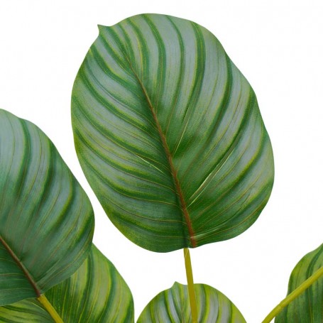 Pianta Calathea Artificiale con Vaso Bianco