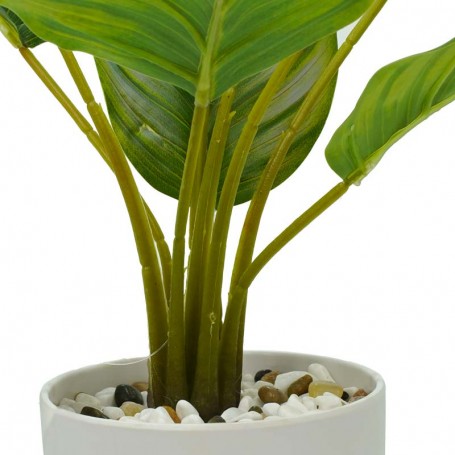 Pianta Calathea Artificiale con Vaso Bianco