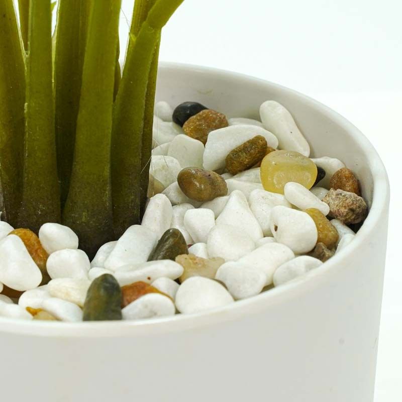 Pianta Calathea Artificiale con Vaso Bianco