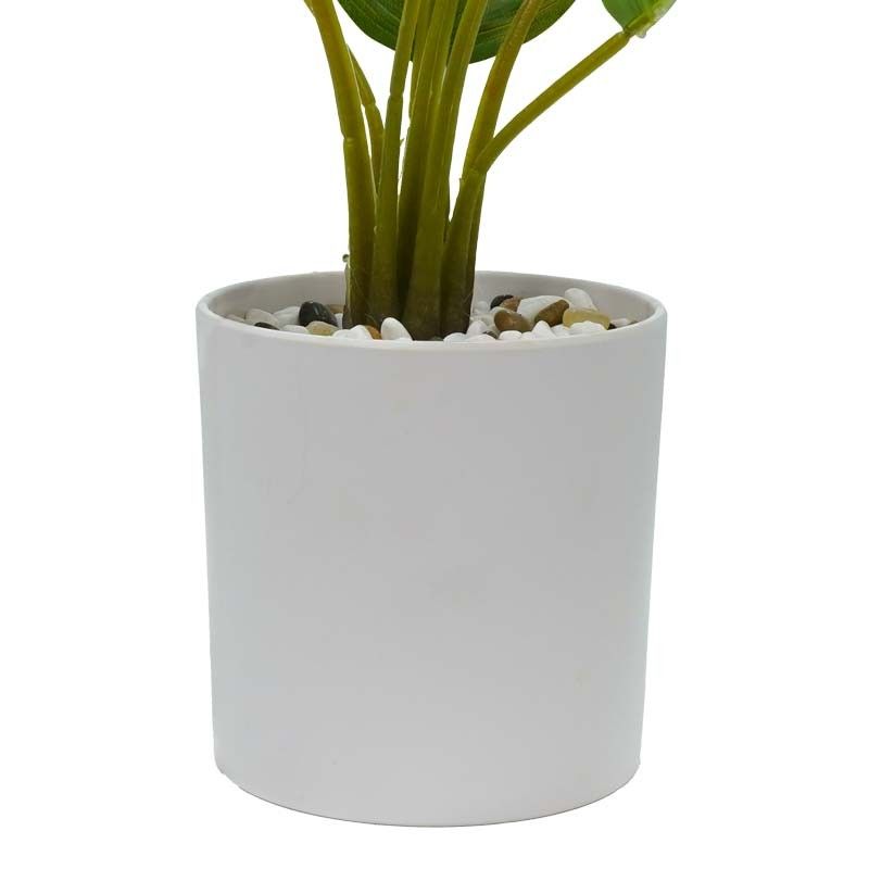 Pianta Calathea Artificiale con Vaso Bianco