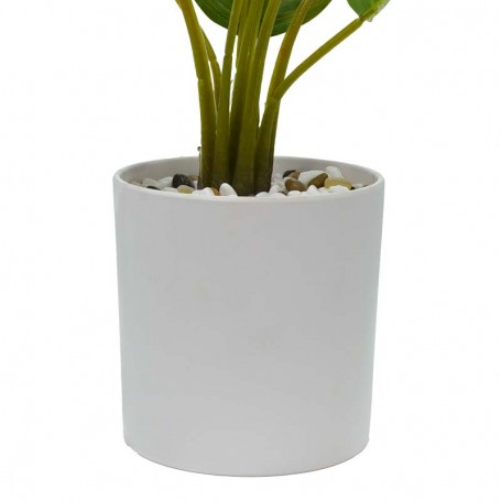 Pianta Calathea Artificiale con Vaso Bianco