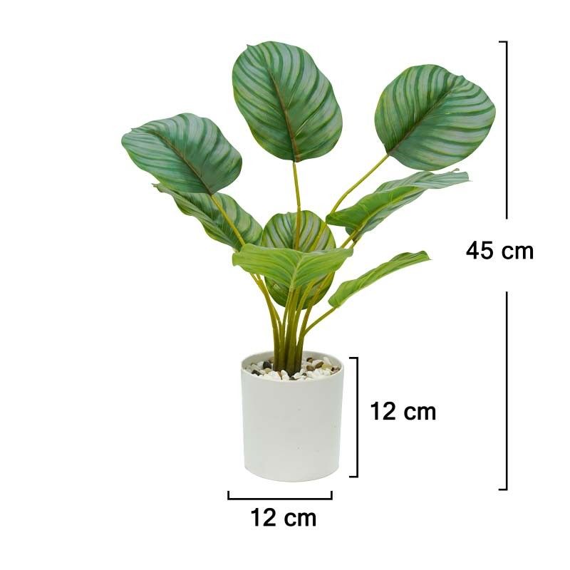 Pianta Calathea Artificiale con Vaso Bianco