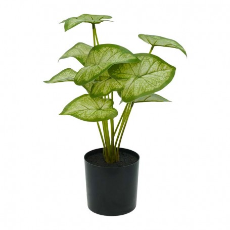 Pianta Calathea Artificiale con Vaso Grigio