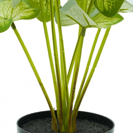 Pianta Calathea Artificiale con Vaso Grigio