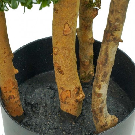 Pianta Bosso Artificiale con Tronchi in Legno