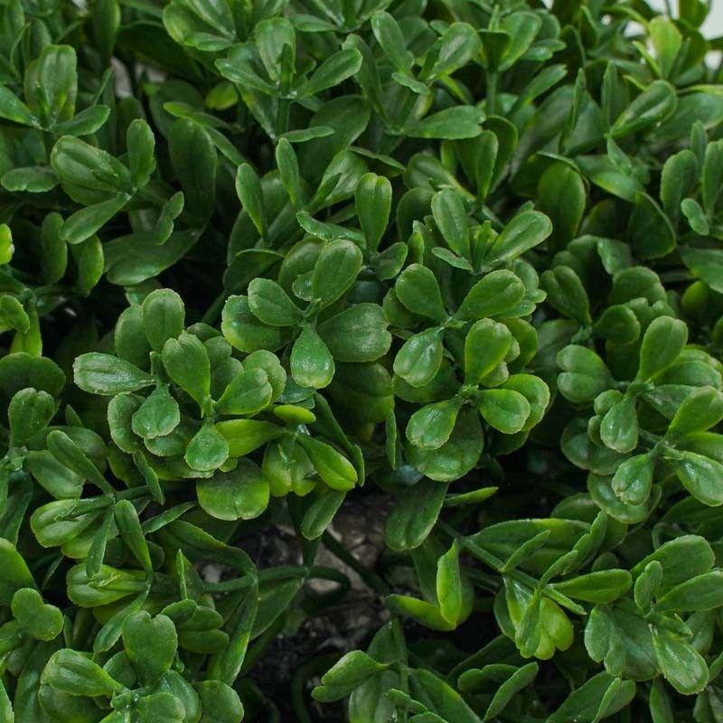 Pianta Bosso Artificiale con Tronchi in Legno