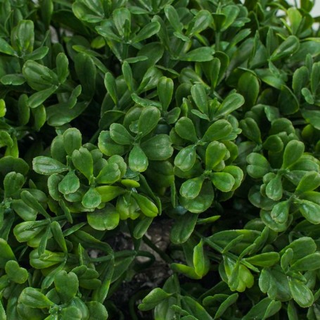 Pianta Bosso Artificiale con Tronchi in Legno