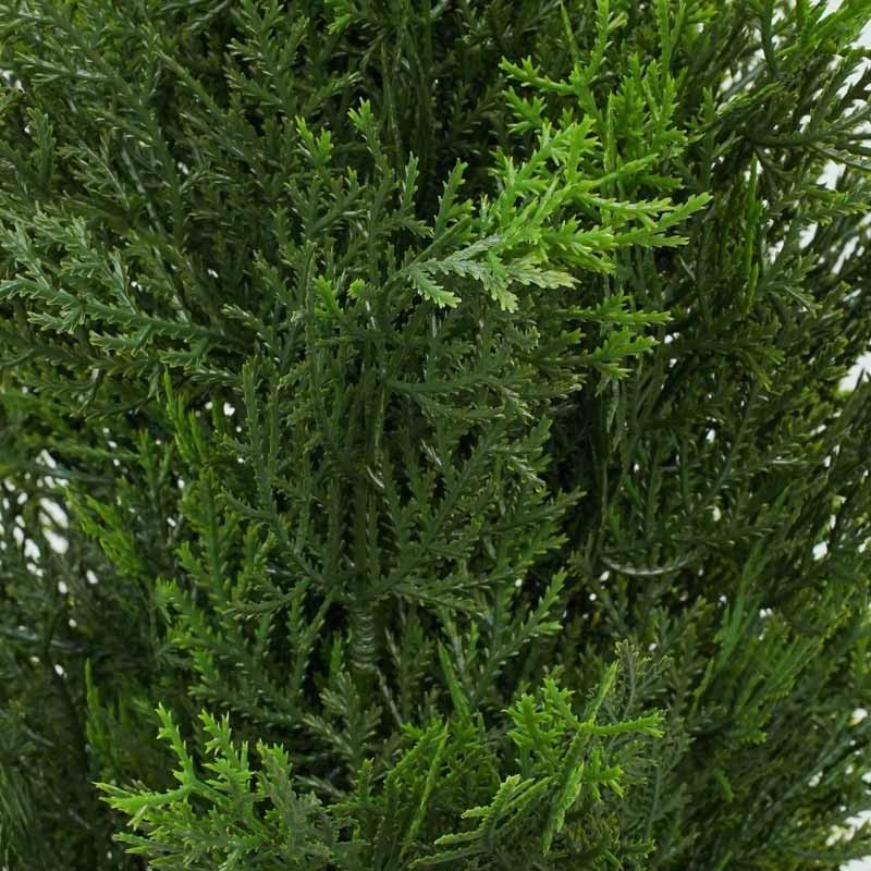 Pianta Cipresso Artificiale con Vaso Nero