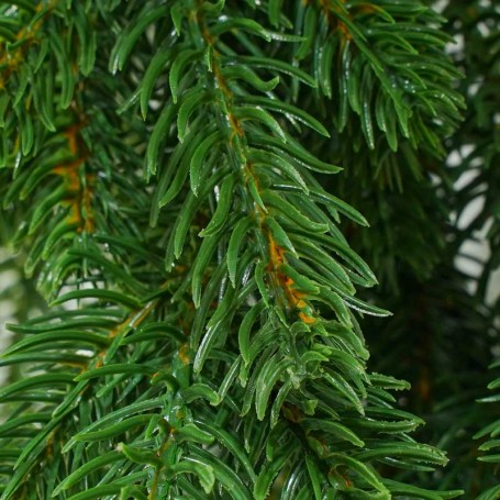 Tralcio Natalizio Verde in PE L.270 cm