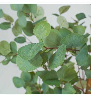 Pianta Eucalipto Artificiale