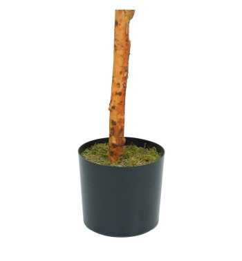 Pianta Eucalipto Artificiale