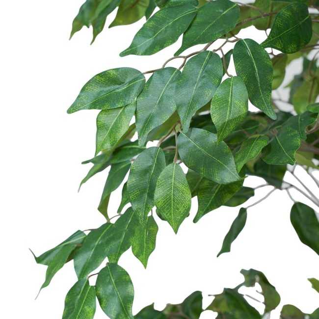 Pianta Ficus Benjamin Artificiale