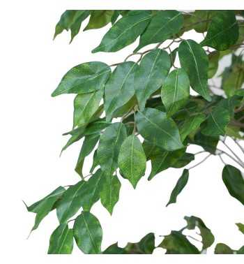 Pianta Ficus Benjamin Artificiale