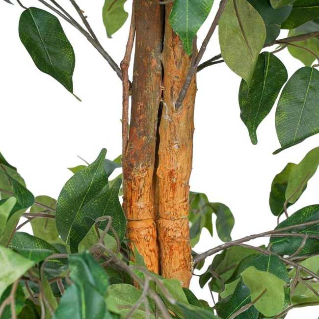 Pianta Ficus Benjamin Artificiale