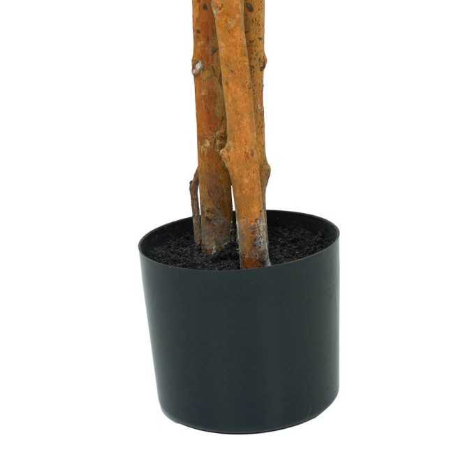 Pianta Ficus Benjamin Artificiale