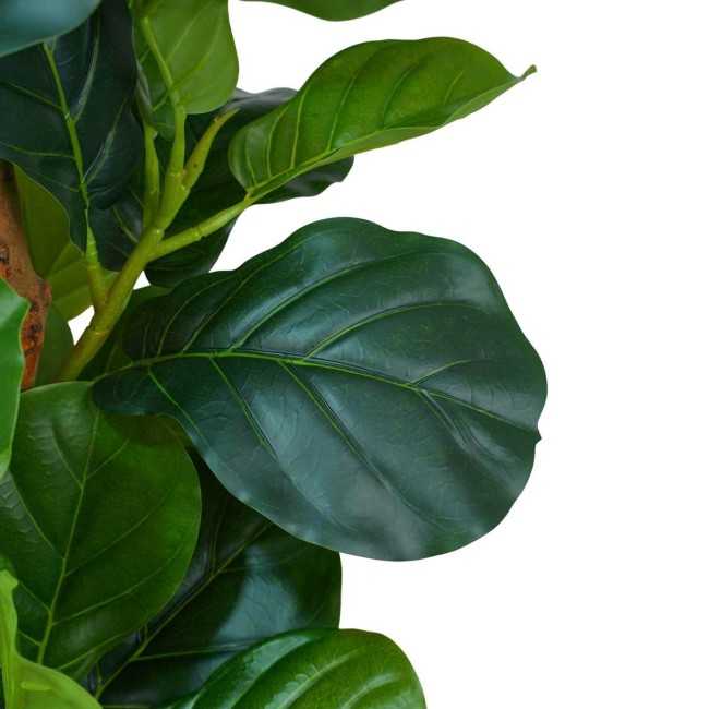 Pianta Ficus Artificiale