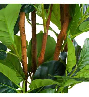 Pianta Ficus Artificiale