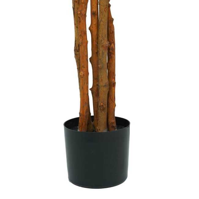 Pianta Ficus Artificiale