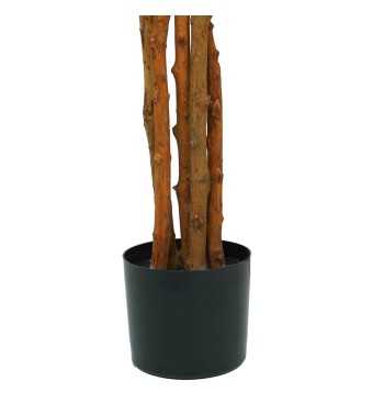 Pianta Ficus Artificiale