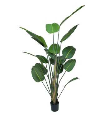 Pianta Strelitzia Artificiale Pianta Strelitzia Artificiale