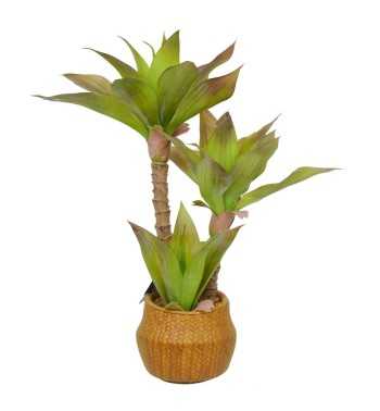 Pianta Agave Artificiale H.65 cm