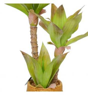 Pianta Agave Artificiale H.65 cm