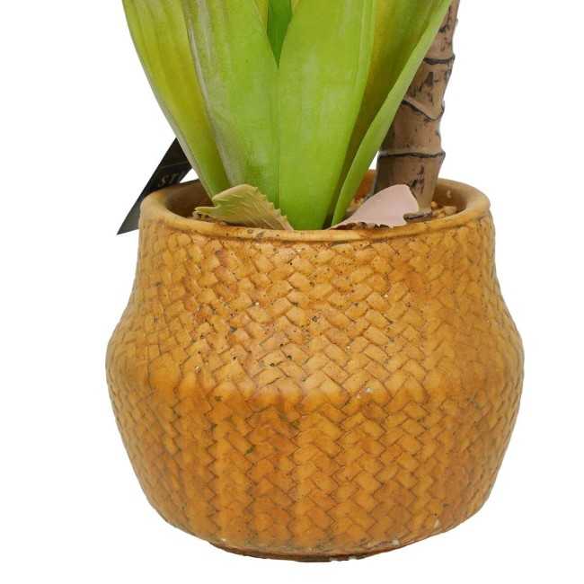 Pianta Agave Artificiale H.65 cm