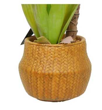 Pianta Agave Artificiale H.65 cm