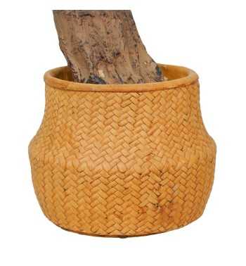 Pianta Agave Artificiale H.120 cm