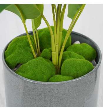 Pietre di Muschio Artificiale Conf. da 12 pz