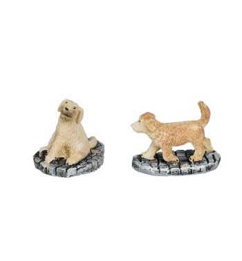 Golden retriever pups 2 pieces - Luville 1163040