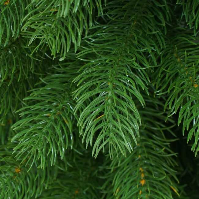 Swag Natalizio in PE Verde L.180 cm