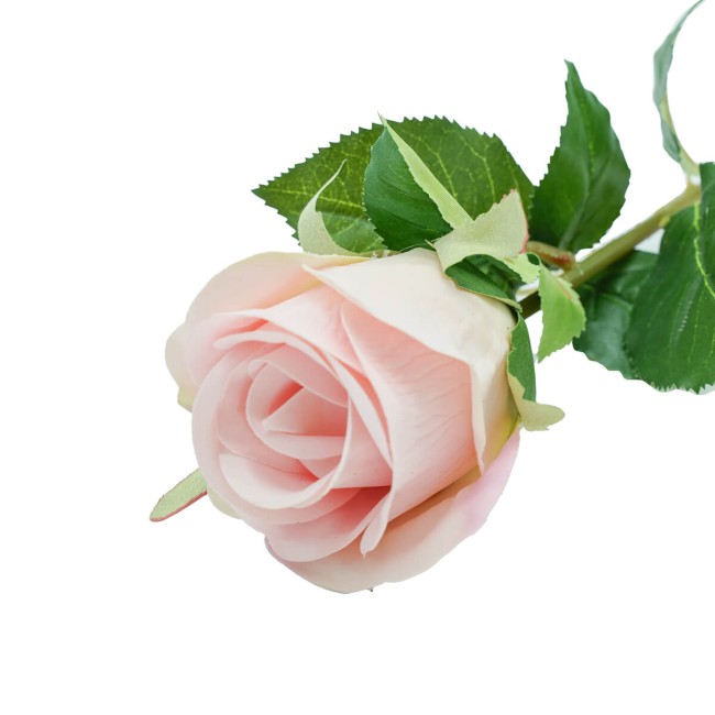 Rosa con Stelo e Foglie